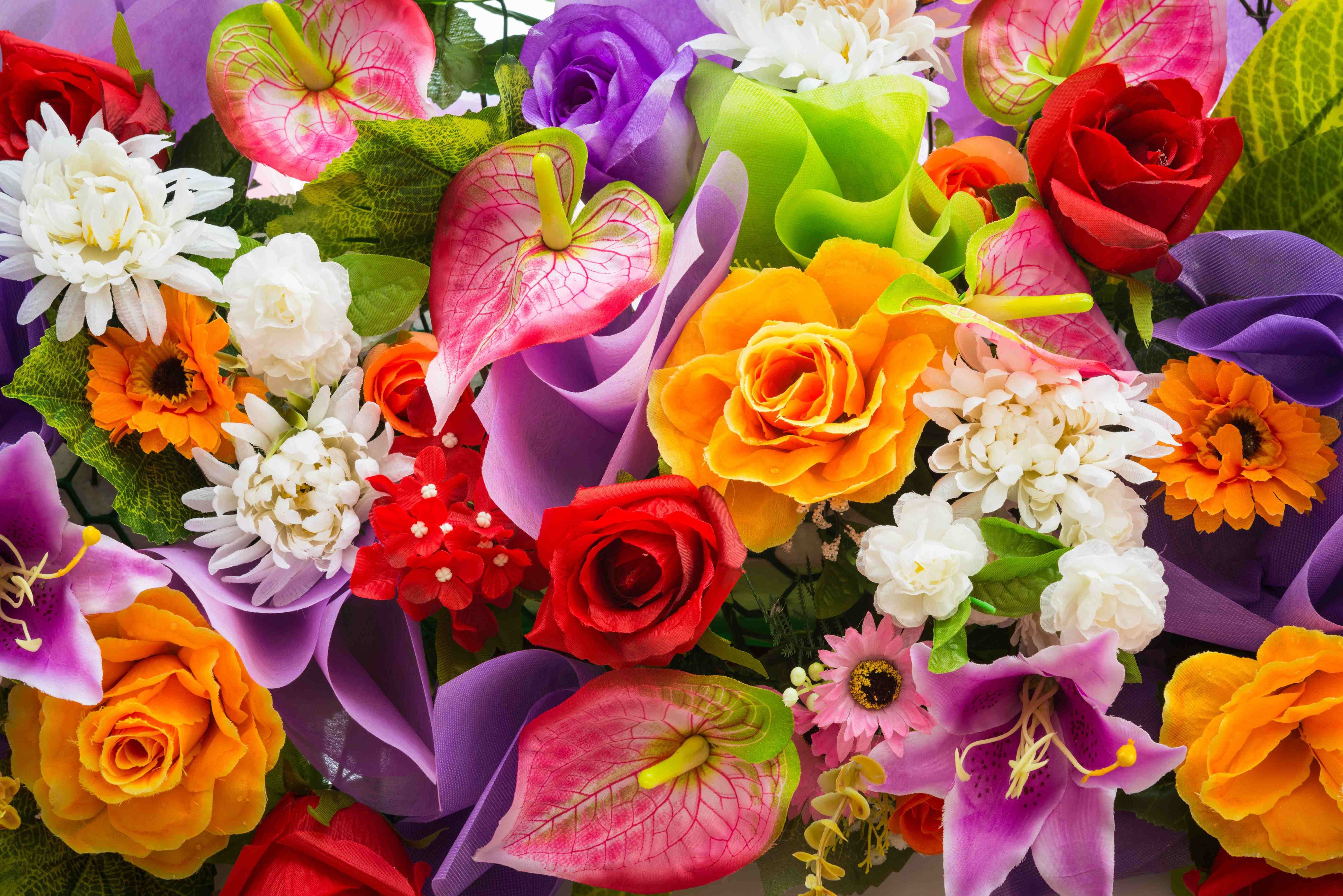 Logiciel Fleuriste